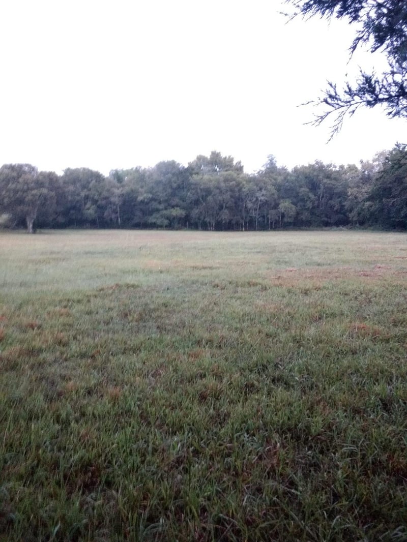 0 Hidden Valley Ln, Rockvale, TN 37153