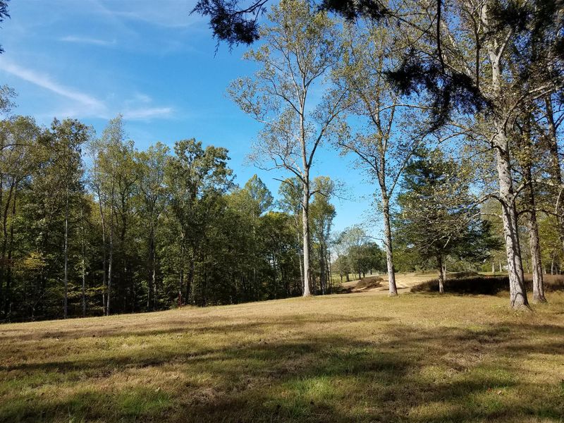 1 Poplar Ridge Lot #1, Primm Springs, TN 38476