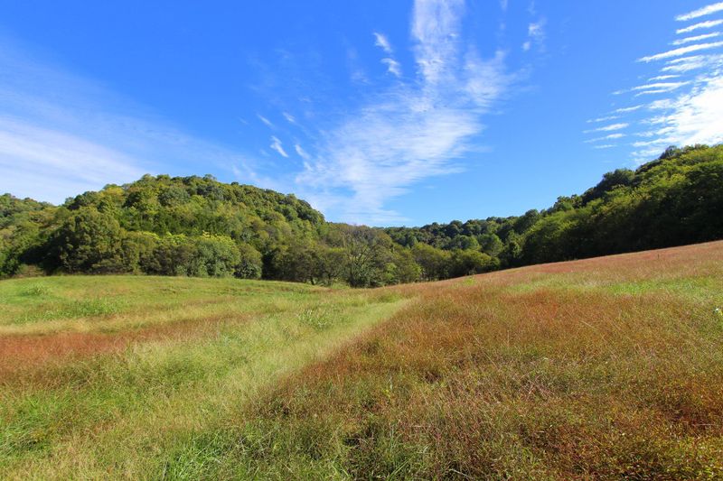 6864 Pulltight Hill Rd, College Grove, TN 37046