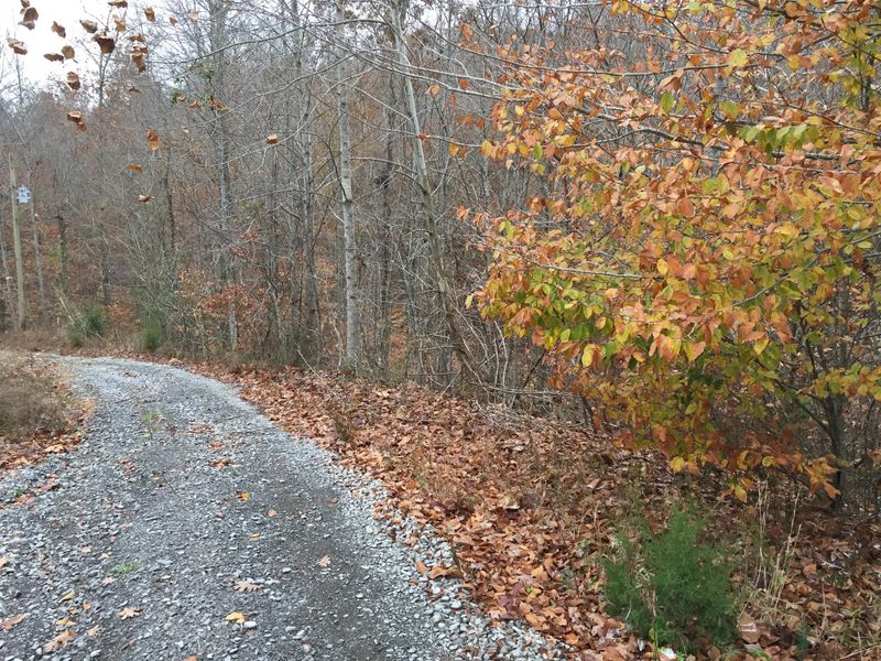 0 Coach Dr, White Bluff, TN 37187