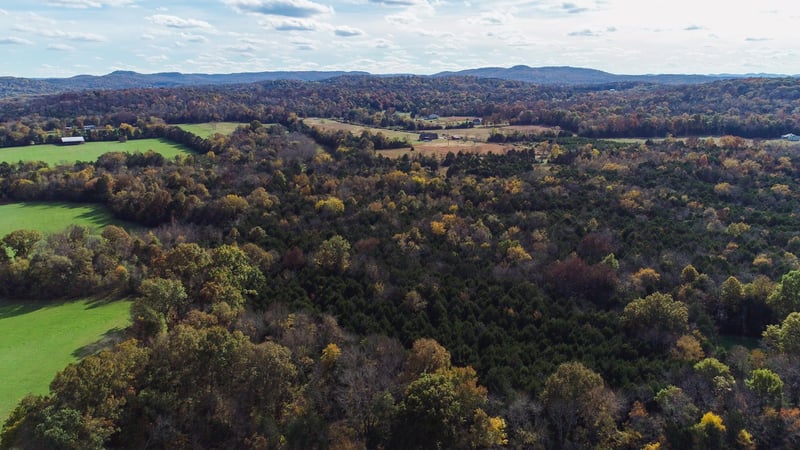 10111 Vaught Rd, Readyville, TN 37149