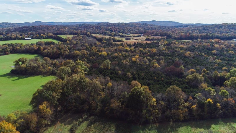 10111 Vaught Rd, Readyville, TN 37149