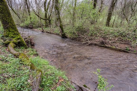 5809 Godwin Rd, Santa Fe, TN 38482