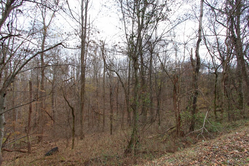 0 Raleigh Beard Rd, Santa Fe, TN 38482