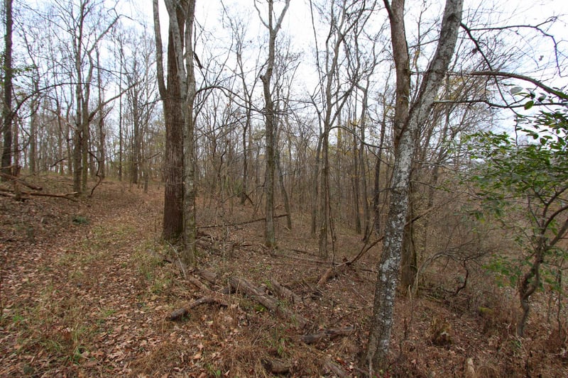 0 Raleigh Beard Rd, Santa Fe, TN 38482
