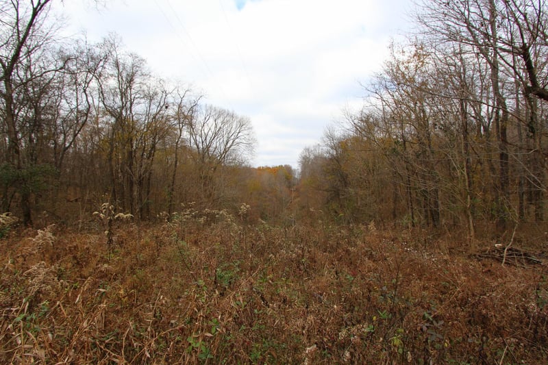 0 Raleigh Beard Rd, Santa Fe, TN 38482