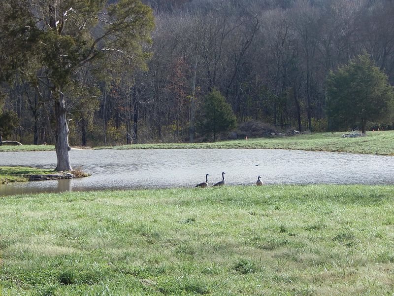 0 Farmstead Ln Lot 1, Franklin, TN 37064