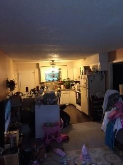 229 Ocala Dr, Nashville, TN 37211