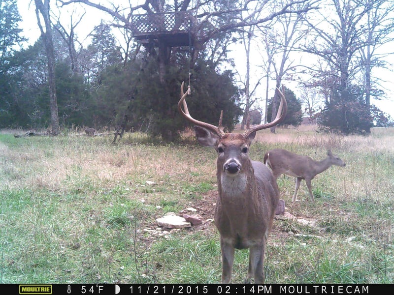0 Browns Mill Rd, Lascassas, TN 37085