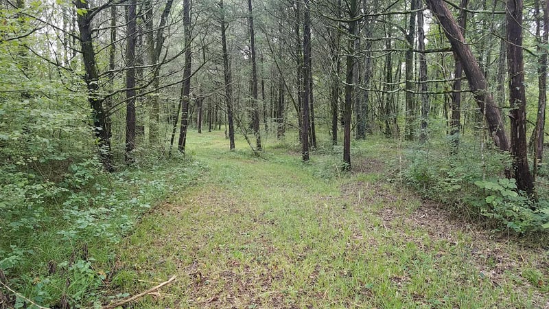 0 Browns Mill Rd, Lascassas, TN 37085