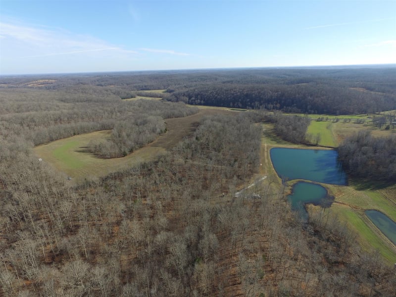 1555 Bell Hollow Rd, Vanleer, TN 37181