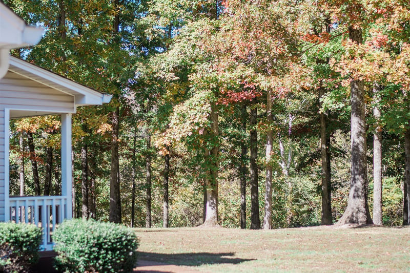 7951 Daugherty Capley Rd, Primm Springs, TN 38476