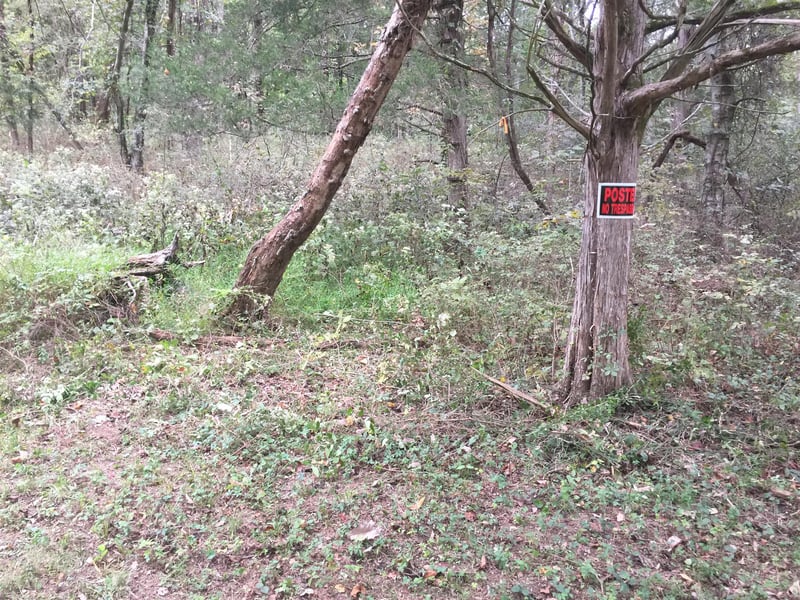 114 Hidden Valley Rd, Arrington, TN 37014