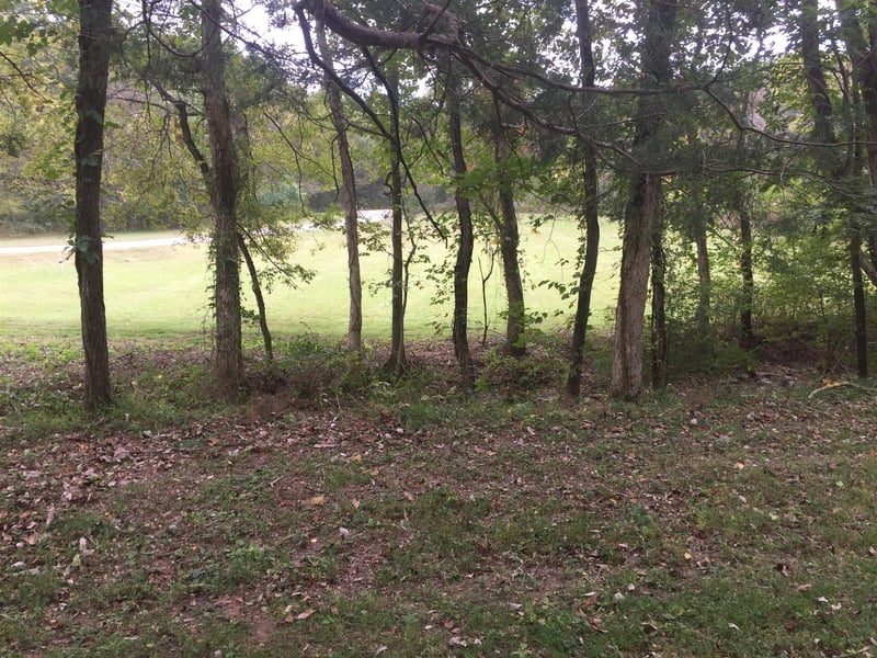 114 Hidden Valley Rd, Arrington, TN 37014