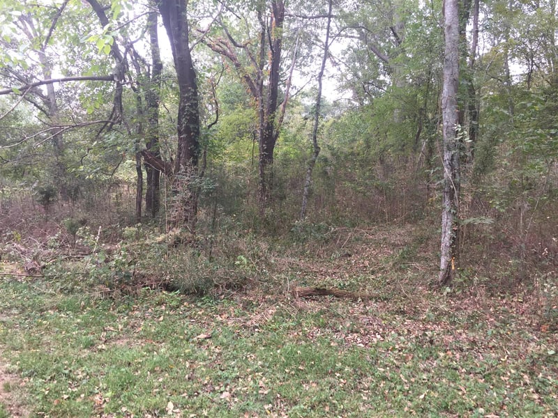 114 Hidden Valley Rd, Arrington, TN 37014