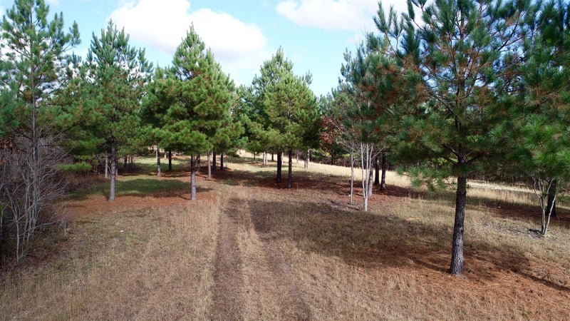 0 Rockdale Trace Rd, Summertown, TN 38483