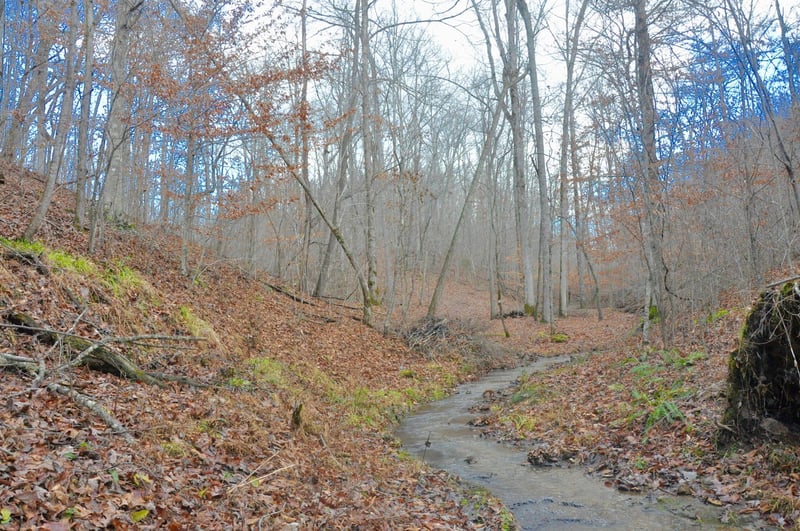 0 Rockdale Trace Rd, Summertown, TN 38483
