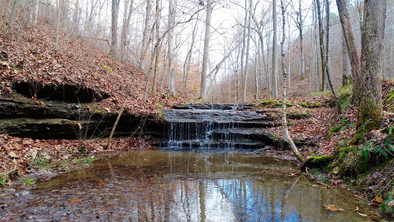 0 Rockdale Trace Rd, Summertown, TN 38483