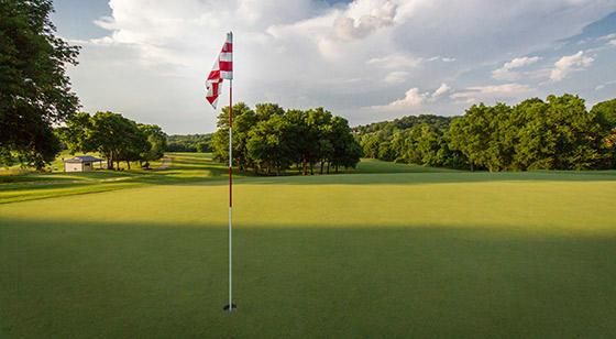 6658 Hastings Ln, Franklin, TN 37069