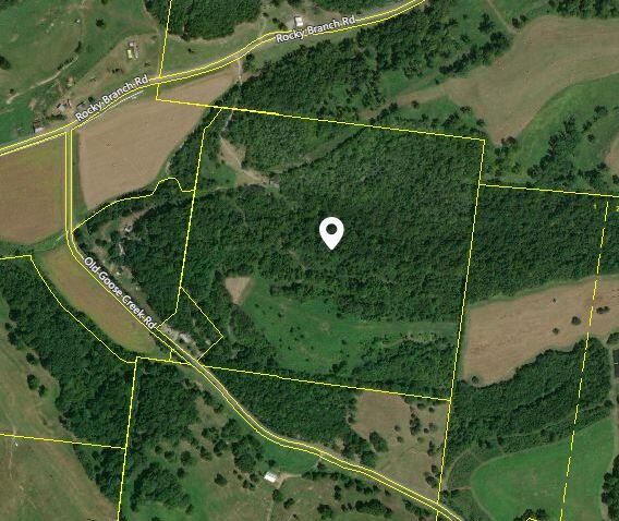 190 Rocky Branch Rd, Watertown, TN 37184