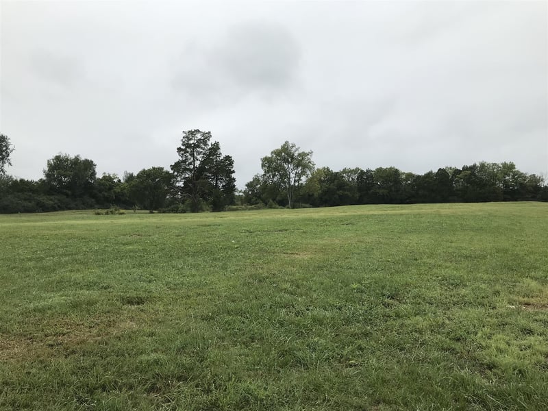 0 Lofton Rd, Lascassas, TN 37085
