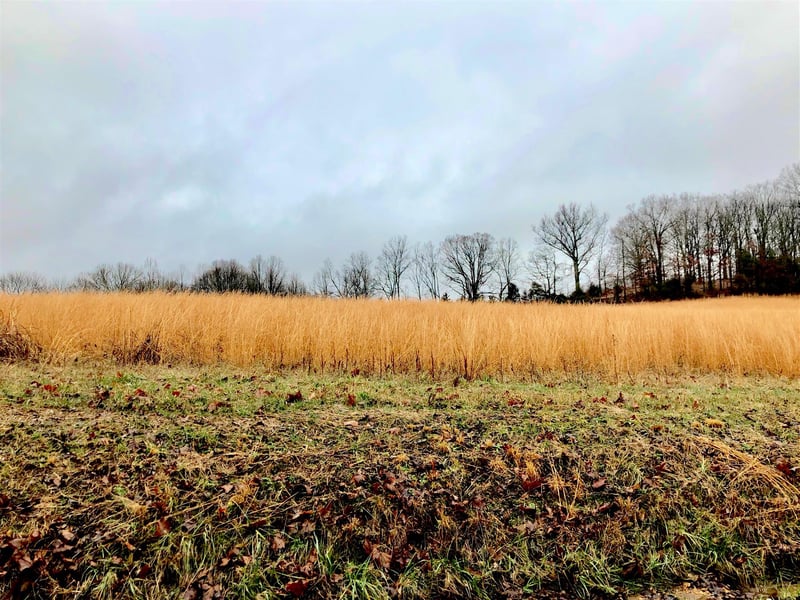 0 Ernest Cates Rd, Bethpage, TN 37022