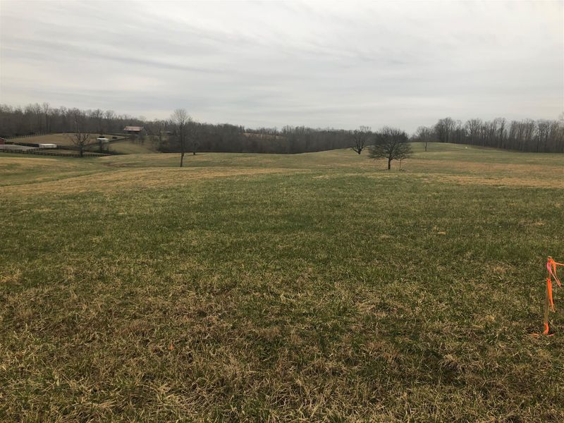 1 W Lick Creek, Primm Springs, TN 38476