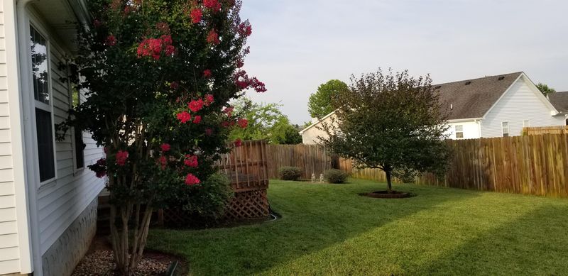1327 Mac Duff Dr, Murfreesboro, TN 37128