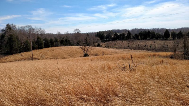 0 Calvert Ridge Rd, Westmoreland, TN 37186