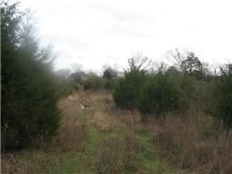 0 Webb Ln, Murfreesboro, TN 37129