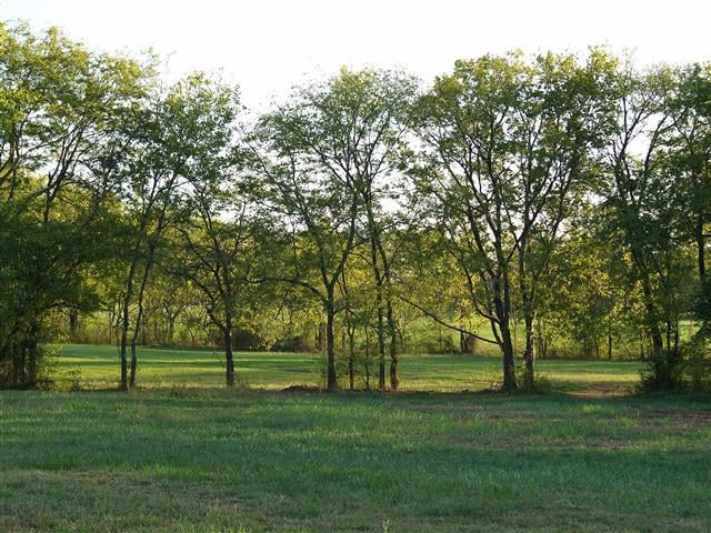 6705 Bison Pvt Ln, College Grove, TN 37046