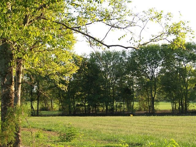 6705 Bison Pvt Ln, College Grove, TN 37046