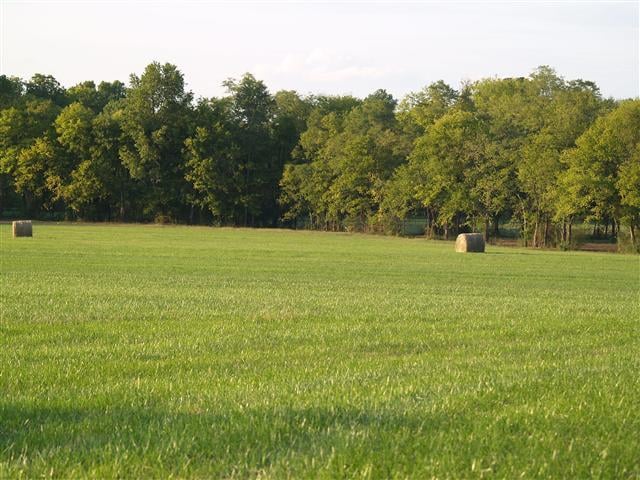 6705 Bison Pvt Ln, College Grove, TN 37046