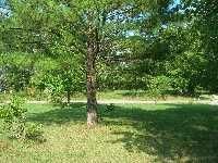 1950 Logue Rd, Mount Juliet, TN 37122