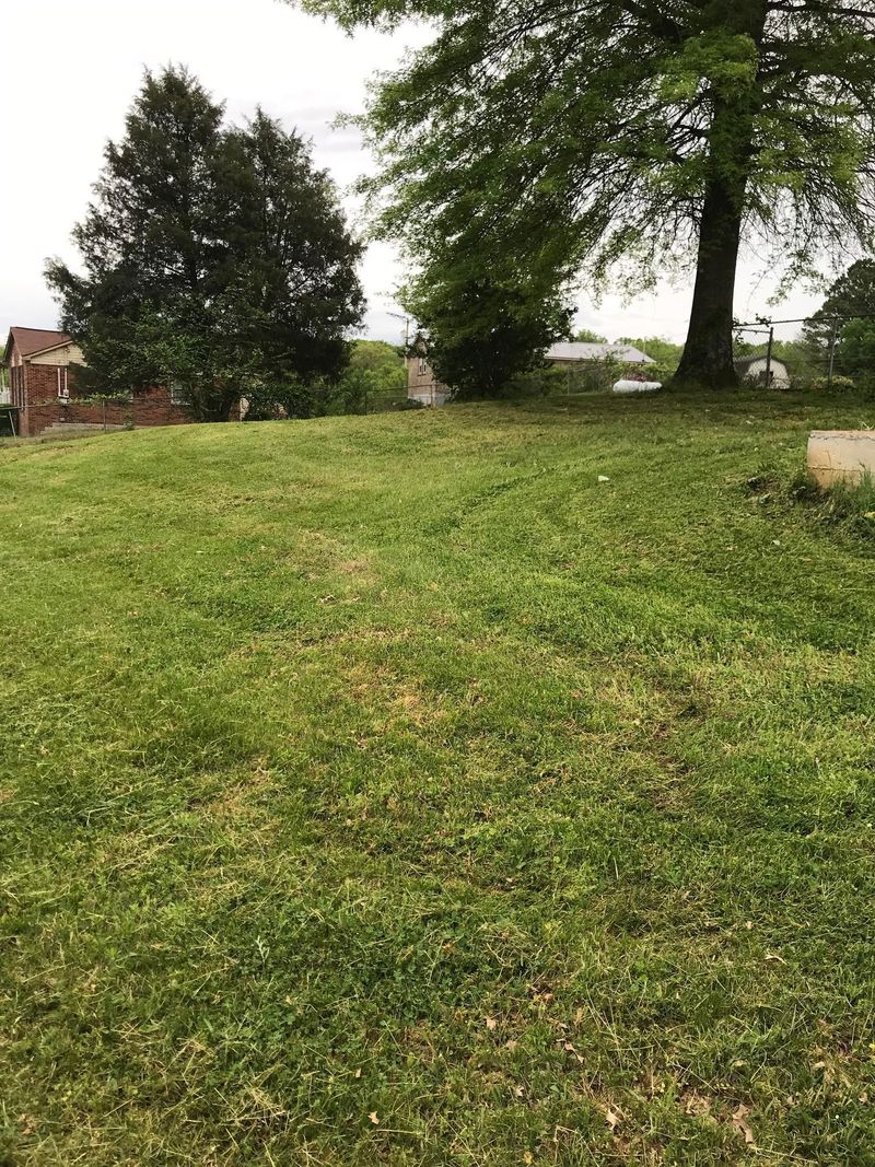2406 Crestmore Dr, Columbia, TN 38401