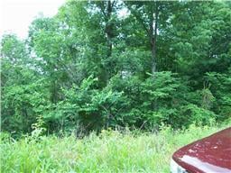0 Parrish Hollow Rd, Mount Pleasant, TN 38474