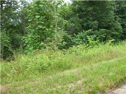 0 Parrish Hollow Rd, Mount Pleasant, TN 38474