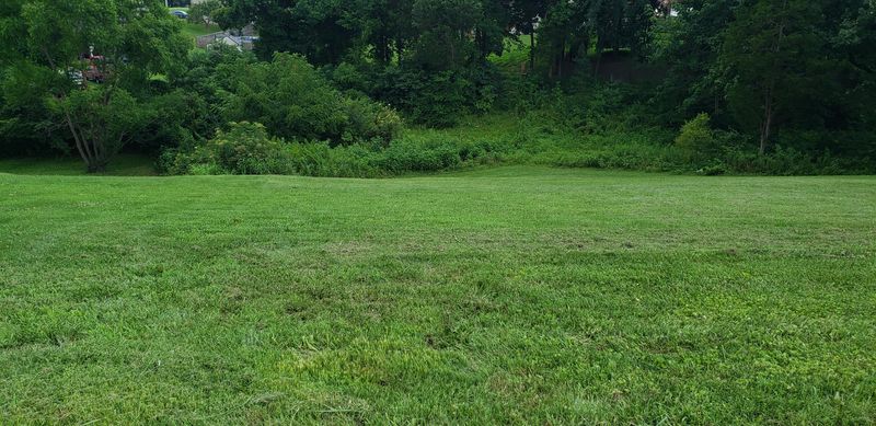 4027 Summit Dr, Greenbrier, TN 37073