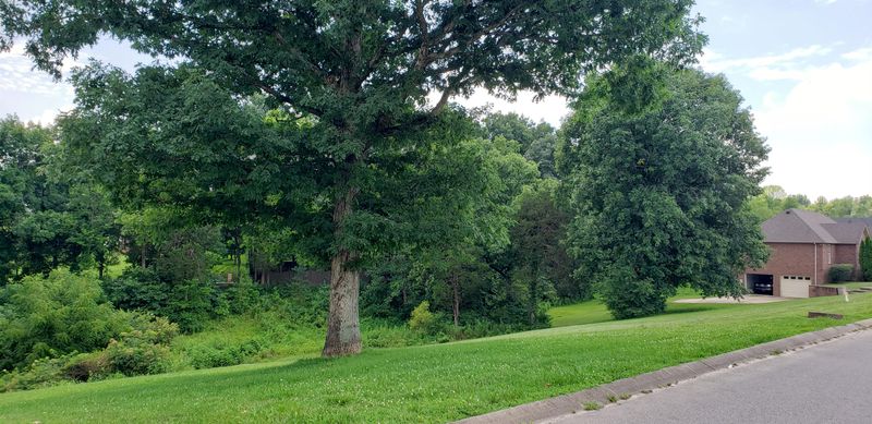 4027 Summit Dr, Greenbrier, TN 37073