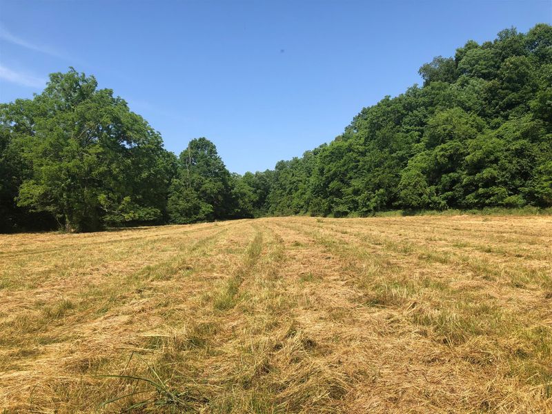 0 Pee Dee Branch Rd, Cottontown, TN 37048