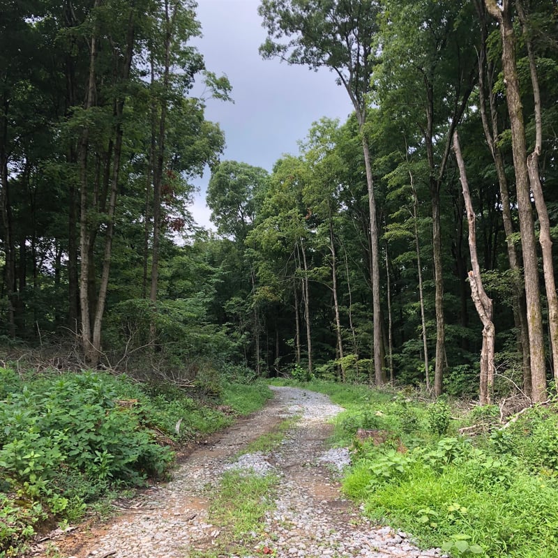 0 Weeping Willow Rd, Hendersonville, TN 37075