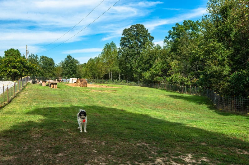 1132 Halliburton Rd, Vanleer, TN 37181