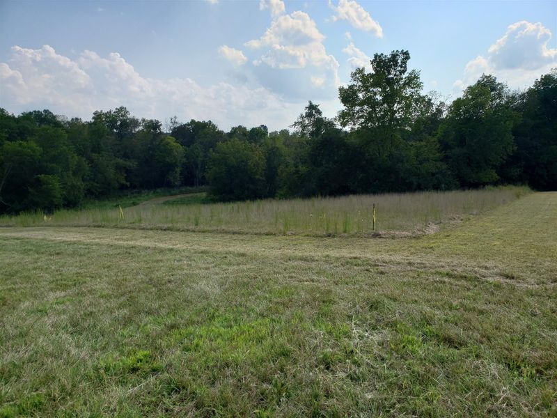 0 Hwy 49 East, Springfield, TN 37172