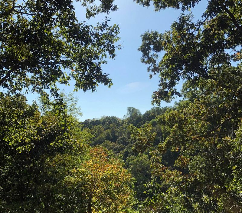 341 Harpeth Ridge Dr, Nashville, TN 37221