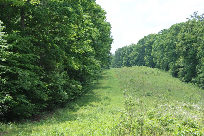 0 Johnston Dr, White Bluff, TN 37187