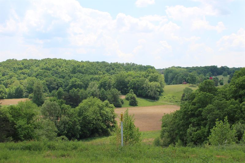 0 Johnston Dr, White Bluff, TN 37187