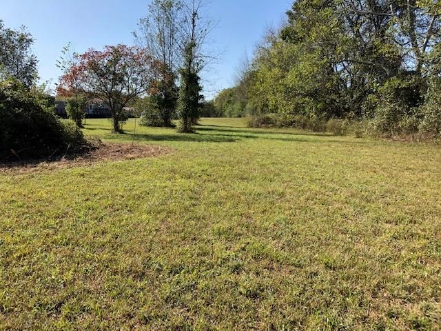 4365 Woodrow Wilson Rd, Springfield, TN 37172
