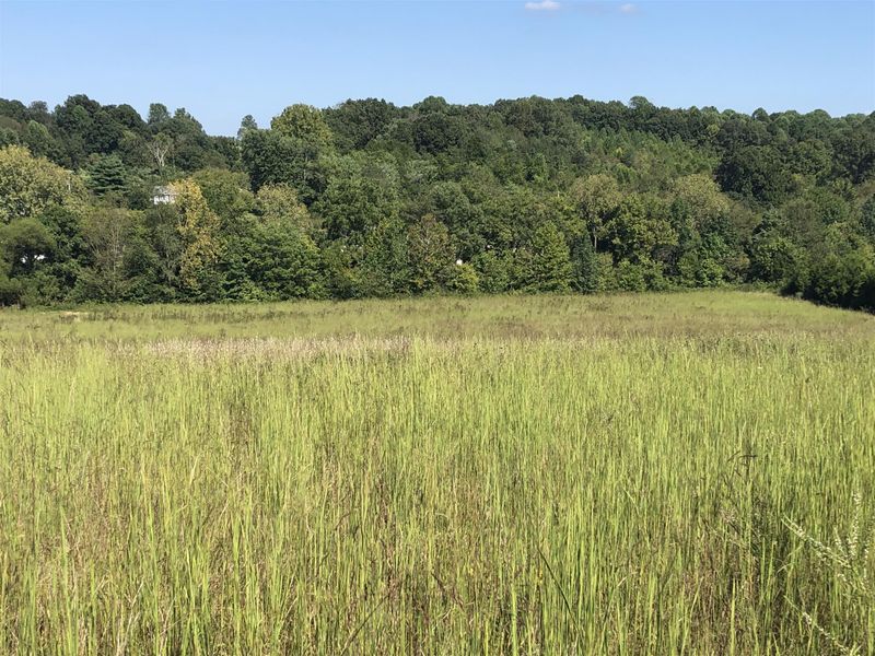 1901 Rock Bridge Rd, Bethpage, TN 37022