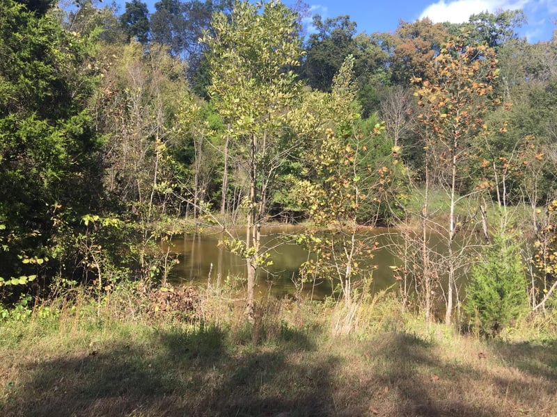 2580 25w Hwy, Cottontown, TN 37048