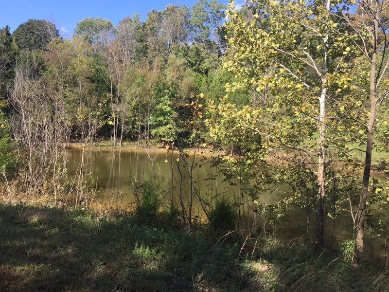 2580 25w Hwy, Cottontown, TN 37048